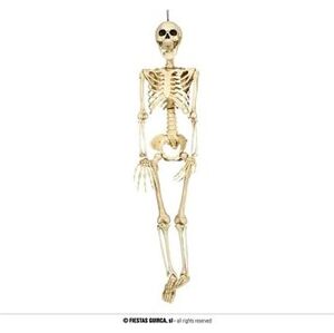 Skeleton - kostra - kostlivec k zavěšení 90 cm- halloween