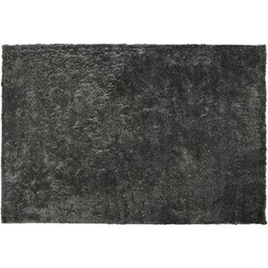 Koberec shaggy 200 × 300 cm tmavosivý EVREN, 186355